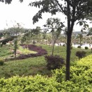 吴文洪（大姚县金龙明德小学）