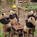 QT软件工程师