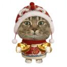 番茄爱吃西红柿🍅