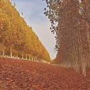 采阳光电能源科技的头像-战友联盟