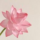 谢菲尔德求租