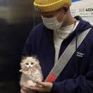 伊人未至
