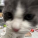 打打怪