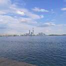 兮儿高萌伟-中草药（草本 食品）