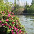 Jonathan_375