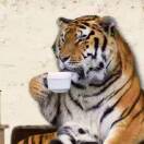 筱柒的头像-音创社AI SonoCraft丨科技改变未来