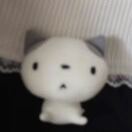 布里斯托求租