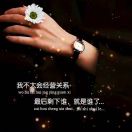 揽星河