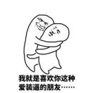 邹先生的头像