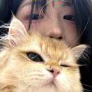 李贞贤
