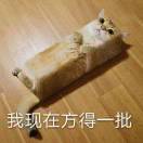 刘先生的头像