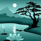 代先生的头像