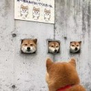 张先生的头像