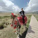 🚬习惯ꦹ一个⃨人ꦿ꧉ᩚ