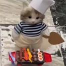 frzher-吾爱GM手游