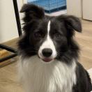 null转租&房东直租