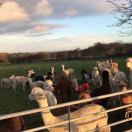 a0536的头像-小哥网