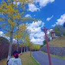 欧椰🍃