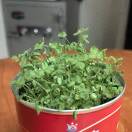 新世纪橙子哥哥！