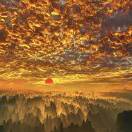 伊春市税务局团委