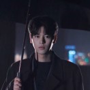 刘女士的头像