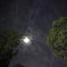 磁力的头像