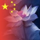 莲花九泽