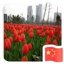 玉成电信-李群芳