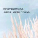 HAPPy左啍啍