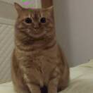 用户44653619的头像-博士钣金 - www.bsbanjin.com