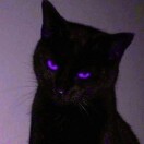 用户42522945的头像-cg男孩