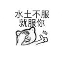 张志项