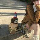 花海的头像-Fivem百事通