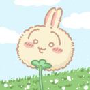 布里斯托求租