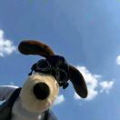 骑着蜗牛追导弹