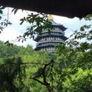 虚无IX的头像-拟人圈