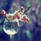 星海无涯