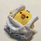 user_uali8ie0bnacvbfa member profile picture