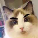 王佑心