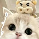 袁野