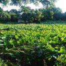 陈祖春15211271830