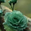 弥忧的头像-拟人圈