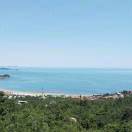 小然由之的头像-熵减岛