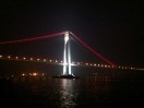 杨先生的头像