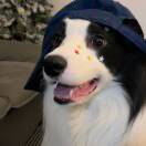 哈哈的头像-三米星球：游戏人&互联网人终身成长的平台