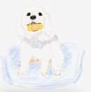 波光清的钢琴谱