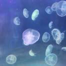 森林的头像-博士钣金 - www.bsbanjin.com