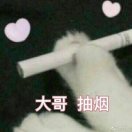 左先生的头像