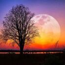 战机的头像-创薯资源