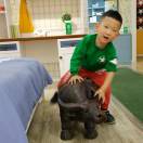 赵 🔥的头像-博士钣金 - www.bsbanjin.com